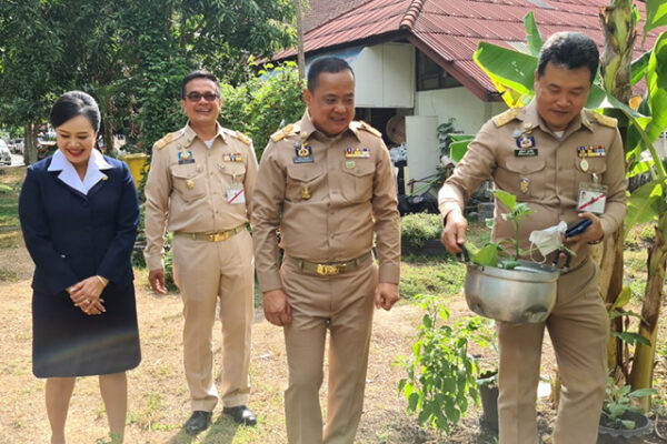 อธิบดี พช. ปลื้ม ผู้ว่านราธิวาส น้อมนำแนวพระราชดำริฯ ปลูกผักสวนครัว รอบ 2 ปลูกผักสวนครัว พร้อมรณรงค์เชิญชวนหัวหน้าส่วนราชการ ประชาชน ปลูกพืชผักสวนครัว เลี้ยงปลาเลี้ยงไก่ สร้างความมั่นคงทางอาหาร ลดรายจ่าย เพิ่มรายได้ สู่ชุมชนอย่างยั่งยืน